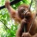 �R�[�q�[ �M�t�g2026 �I�����E�[�^���R�[�q�[ �h���b�v�R�[�q�[ 5�t��|������������ � �h���b�v�o�b�N ������ �c���䌩�� �֘A�摜3