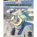  Abu Garcia Cardinal III SX2000S туристский фургон z выпуск AbuGarcia Cardinal SX2000S Camper's Edition