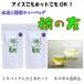 ���o�� �Β� ���� ���� ���̗F10P 2�{�Z�b�g ���������Y ���{�� �⒃ �G�s�K���J�e�L�� tea ���o���� �e�B�[�o�b�O �����⋋ �l�R�|�X������