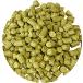 [CRAFT BEER] ho ppe let HOPS is latau* perrelet Hallertau Perle 100g craft beer for 