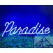  оригинал neon автограф Paradise голубой Британия знак стекло труба интерьер магазин оборудование орнамент балка LED способ Корея орнамент led табличка american смешанные товары выполненный под заказ возможность 