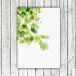 �|�X�^�[ ������� �C���e���A A4 B4 A3 B3 A2 B2 A1 �|�X�^�[�P�i/�t���[���Z�b�g/Design:#700