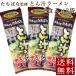 to.. мандарин tachibana ..... ramen 3 пакет почтовая доставка Niigata . высота достопримечательность пакет лапша бесплатная доставка отметка ..
