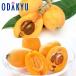  loquat free shipping Nagasaki prefecture production last year popular No.1! Nagasaki loquat & Nagasaki .. loquat preeminence approximately 0.4kg[4 month middle . on and after delivery ]* Okinawa * remote island . is . un- possible 