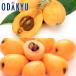 biwa free shipping standard 2 goods kind! Nagasaki loquat &amp;.. loquat meal . comparing preeminence approximately 0.4kg [7-12 day by the level. delivery ]* Okinawa * remote island . is . un- possible 