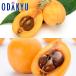 biwa free shipping meal . comparing Nagasaki loquat &amp;..... loquat preeminence approximately 0.4kg [7-12 day by the level. delivery ]* Okinawa * remote island . is . un- possible 