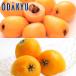 biwa free shipping .. loquat &amp; Nagasaki .. loquat meal . comparing preeminence approximately 0.4kg [7-12 day by the level. delivery ]* Okinawa * remote island . is . un- possible 