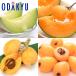  melon free shipping limitation 100 set .. comfort! melon &amp; loquat set approximately 2.1kg [7-12 day by the level. delivery ]* Okinawa * remote island . is . un- possible 