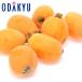 biwa free shipping kind none loquat Chiba prefecture production .. loquat 6 sphere ~12 sphere preeminence approximately 0.4kg [7-12 day by the level. delivery ]* Okinawa * remote island . is . un- possible 