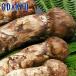  осенний тест . специальный распродажа . Iwate префектура производство .... примерно 800g l10 месяц сверху ... последовательный рассылка предположительно * Hokkaido * Сикоку * Kyushu * Okinawa * отдаленный остров .. . не возможно ( прямой )