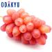  виноград Nagano префектура производство Queen rouge один шарик . распростроняться . тест примерно 0.5kg Special превосходящий l7-12 день на уровне. доставка * Okinawa * отдаленный остров .. . не возможно ( прямой )
