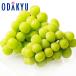  виноград Nagano префектура производство 600g и больше средний .. большой . автомобиль in мускат 2. примерно 1.2kg превосходящий l7-12 день на уровне. доставка * Okinawa * отдаленный остров .. . не возможно ( прямой )