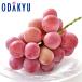  виноград Nagano префектура производство большой . Queen колено na примерно 1.2kg превосходящий l7-12 день на уровне. доставка * Okinawa * отдаленный остров .. . не возможно ( прямой )