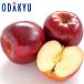 .. новый предмет Nagano префектура производство осень . яблоко примерно 4.8kg Special превосходящий l7-12 день на уровне. доставка * Okinawa * отдаленный остров .. . не возможно ( прямой )
