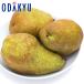  груша обыкновенная Yamagata префектура производство Ballade примерно 5kg превосходящий l7-12 день на уровне. доставка * Okinawa * отдаленный остров .. . не возможно ( прямой )