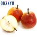 груша обыкновенная Yamagata префектура производство California примерно 5kg превосходящий l7-12 день на уровне. доставка * Okinawa * отдаленный остров .. . не возможно ( прямой )