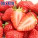  клубника бесплатная доставка . сделка! 3 месяц клубника комплект примерно 0.7kg l7-12 день на уровне. доставка * Okinawa * отдаленный остров .. . не возможно ( прямой )
