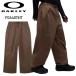 * 26-27 OAKLEY CHANNEL SHELL PANT DARK UMBER Oacley сноуборд одежда мужской сноуборд брюки дуб re-PNT Япония стандартный товар 