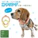  холодный . кольцо HEALTHY ANIMALS( здоровый животное z) прохладный кольцо лёд собака домашнее животное охлаждающий контакт охлаждающий тепловая защита . средний . меры . прогулка прогулка 