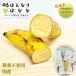  Kyoto. . становится ... premium BOX 3 шт. входит . высококлассный banana местного производства banana редкий . высококлассный фрукты пестициды не использование banana фрукты фрукты еда SDGs окружающая среда . добрый Kyoto (столичный округ) черепаха холм город 