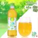 ���� �Β� �y�b�g�{�g�� 500ml 48�{ �I�ׂ� ���x�����X �����o ���荂�� �|�݂������� �� �A�C���X�I�[���} �A�C���X�t�[�Y *
