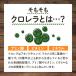 �Ïk�N��������100�� �i��3�������j �N������ �T�v�� ���Y �����x 100�� �T�v�������g �r�^�~�� ���Y�� �H���@�� ��� �s�� �����F �i�C�A�V�� �|�C���g���p �֘A�摜5