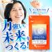 �J���V�E�� �T�v�� ��3������ �r�^�~��D �i�g���E�� �J���E�� �}�O�l�V�E�� �S ���� �T�v�������g ���N �J���V�E���̑����H�i �|�C���g���p �֘A�摜3