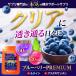 �u���[�x���[�v���~�A�� �i��3�������j�T�v�� ���e�C���ƃA�X�^�L�T���`�����ґ�z�� �V���i �A���g�V�A�j�� �J�V�X �|�C���g���p �̓� �֘A�摜3