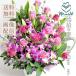 ���o�� �A�����W �a���� ���� ���� �L�O�� ���j�� �Ê� ��� �җ� �p�[�v�����[�Y ���\�� ���蕨 �������� �N�[����