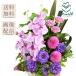 �Ӓ����ƃ_���A�̗킵�A�����W �u�와 kio�v �M�t�g �a���� �E�F�f�B���O ���� ���� �L�O�� ���j�� �Ê� ��� �������� �N�[����