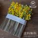  present gift a-tifi car ru flower mimo The entranceway wall decoration interior miscellaneous goods liking 