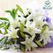 ������ ������� �� ���~ ���~ �V�~ ���ފ� �֓��~   �J�T�u�����J �ԑ� ���� ���� ����  �h�V�̓�