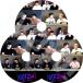 K-POP DVD GOT7 GOT2Day 3SET -EP1-EP21- ܸ뤢 GOT7 åȥ֥ ڹȼϿDVD GOT7 DVD