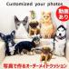  домашнее животное подушка собака кошка фотография . произведение . выполненный под заказ оригинал подушка фотография фотография ввод подарок двусторонний принт memorial товары подарок подарок 