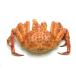  камчатский краб L размер Hokkaido день высота производство 1.8kg