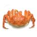  камчатский краб 2L размер Hokkaido день высота производство 2.3kg