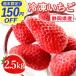 �C�`�S � �Ⓚ �󂠂� ������ �g�ق��� �t���[�c �Ⓚ������ ���Y �Ⓚ�t���[�c �Ⓚ�C�`�S �Ⓚ� ���Y������ �X�C�[�c ����ҍ� 2.5kg