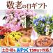 敬老の日プレゼント ギフト 花 敬老の日ギフト ランキング 2020 花 スイーツ 花とスイーツ 限定ギフト りんどう 鉢植え 5号鉢 70代 80代 施設