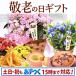 敬老の日プレゼント ギフト 花 敬老の日ギフト ランキング 2020 花 スイーツ 花とスイーツ 限定ギフト りんどう 鉢植え 5号鉢 70代 80代 施設