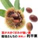  каштан Ibaraki префектура сырой каштан ..kli. земля san .. нет .. выгода flat каштан 1kg коробка подарок подарок почтовый заказ наличие прямая поставка от производителя chestnut