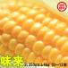  кукуруза .. кукуруза тест .4kg коробка 2L 350g и больше 10~1 2 шт Ibaraki префектура производство прямой утро .. утро .. этот день отгрузка ваш заказ corn