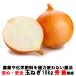  шар лук порей 10kg превосходящий * super стандарт tama лук-батун лук репчатый Sonic кроме того, s часть здоровье жизнь Ibaraki префектура производство .. природа сухой для бизнеса еда и напитки магазин onion