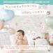 �y �T�����I�L�����N�^�[�Y �Ƃ��j���I�ꏡ�� �Z�b�g �z 1�� �a���� �I�ׂ�ꏡ�� �I�ю�� ������ �����b�N �i�b�v�T�b�N ������ ������� ���킢�� �đ� �ʐ^ �֘A�摜1