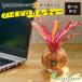 �n�C�h���J���`���[ �l�I���Q���A �ϗt�A�� ������ �y�Ȃ� ������� �I�����W �[�I���C�g �I�ׂ�� �~�j �ϗt  ��̓� �v���[���g �M�t�g �a���� ���S�� ������