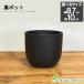  декоративное растение горшок можно выбрать размер 3 номер 3.5 номер чёрный pot коврик пластик горшок раунд type чёрный модный салон растение в горшке растение популярный интерьер смешанные товары bowllong4