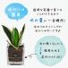 �n�C�h���J���`���[ �ϗt�A�� ������ �y�Ȃ� ������� �n�C�h���{�[�� �n�C�h���R�[�� �I�ׂ�i�� �p�L�� �K�W���}�� �T���X�x���A ���̓� �M�t�g �v���[���g �֘A�摜4