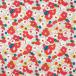  LIBERTY FABRICS 2024AW Pearly Christmas Olivia ӥ04-3634253P J24A.å 09Ac03j