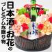 日本酒 裏 手取川 ＆ フラワー ロマンティック アレンジ A セット  クール 送料無料  ギフトボックス入　裏手取川