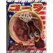 вместе родители кондитерские изделия Cola моти A 20g×24 шт 
