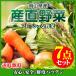岡山県産 朝穫れ野菜詰め合わせ 7点セット